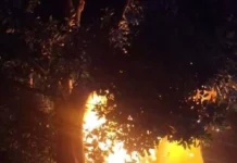 Bomberos controlan incendio en vivienda de La Palma, Pedro Escobedo